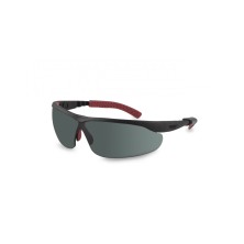 Gafa pegaso mod.aventur gris solar ref.835.03